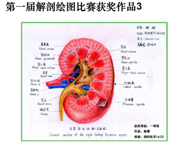 QQ图片20160419112347.png